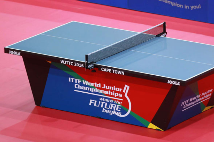 ITTF-Approved, Foldable Table
